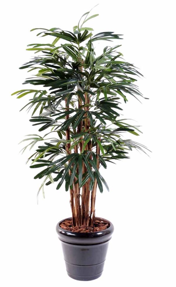 palmier artificiel raphis lady 1 1