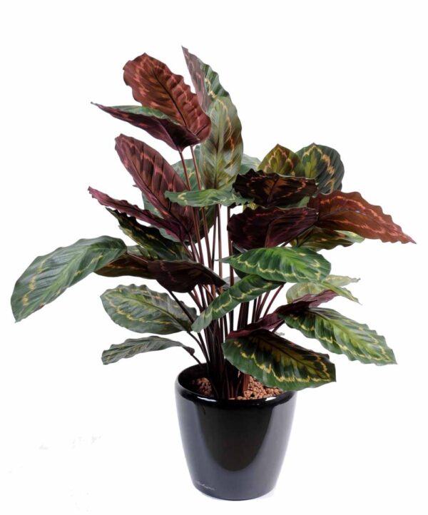 plante artificielle calathea roseopicta rouge vert 1 1