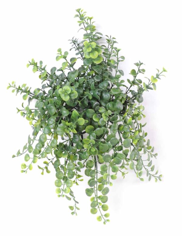 plante artificielle peperonia plast 1 1