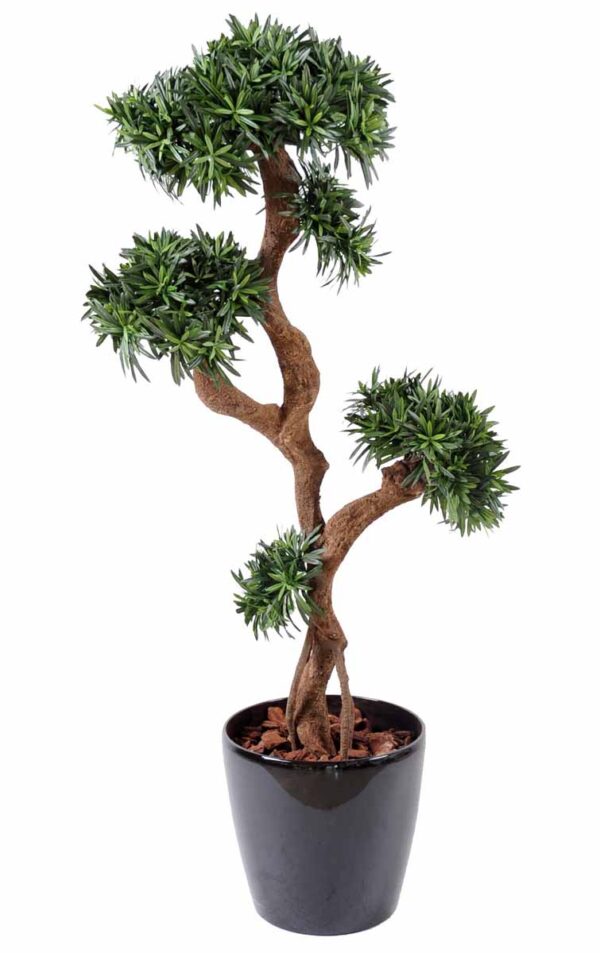 podocarpus artificiel tree 1 1