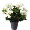 plante artificielle begonia blanc 1 1