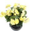 plante artificielle fleurie begonia jaune 3 1