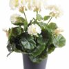 plante artificielle geranium creme 1 1