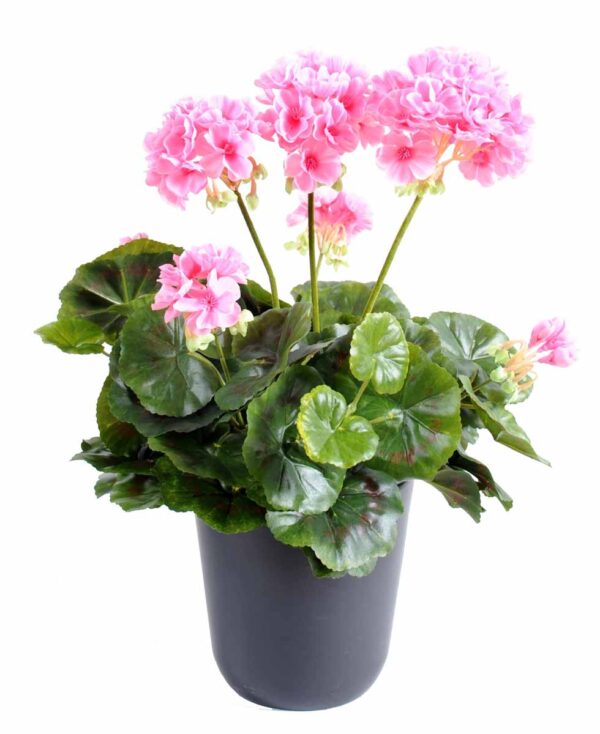 plante artificielle geranium rose 1 1