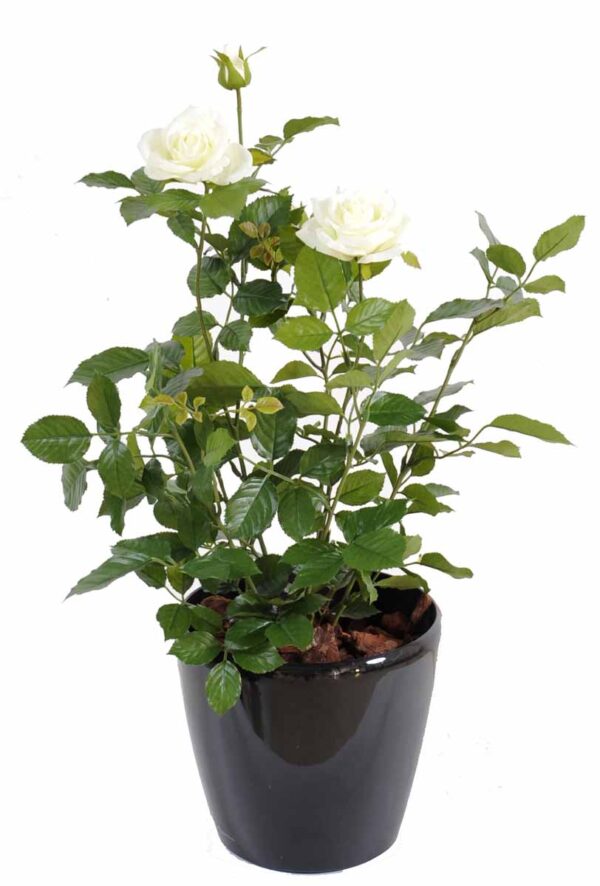 plante artificielle rosier royal blanc 3 1