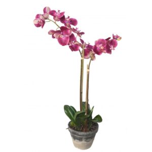 phalaenopsis orchidee artificielle 3138 1 31 1