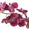 phalaenopsis orchidee artificielle 3138 31 2 1