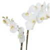 phalaenopsis orchidee artificielle 3138 58 2 1
