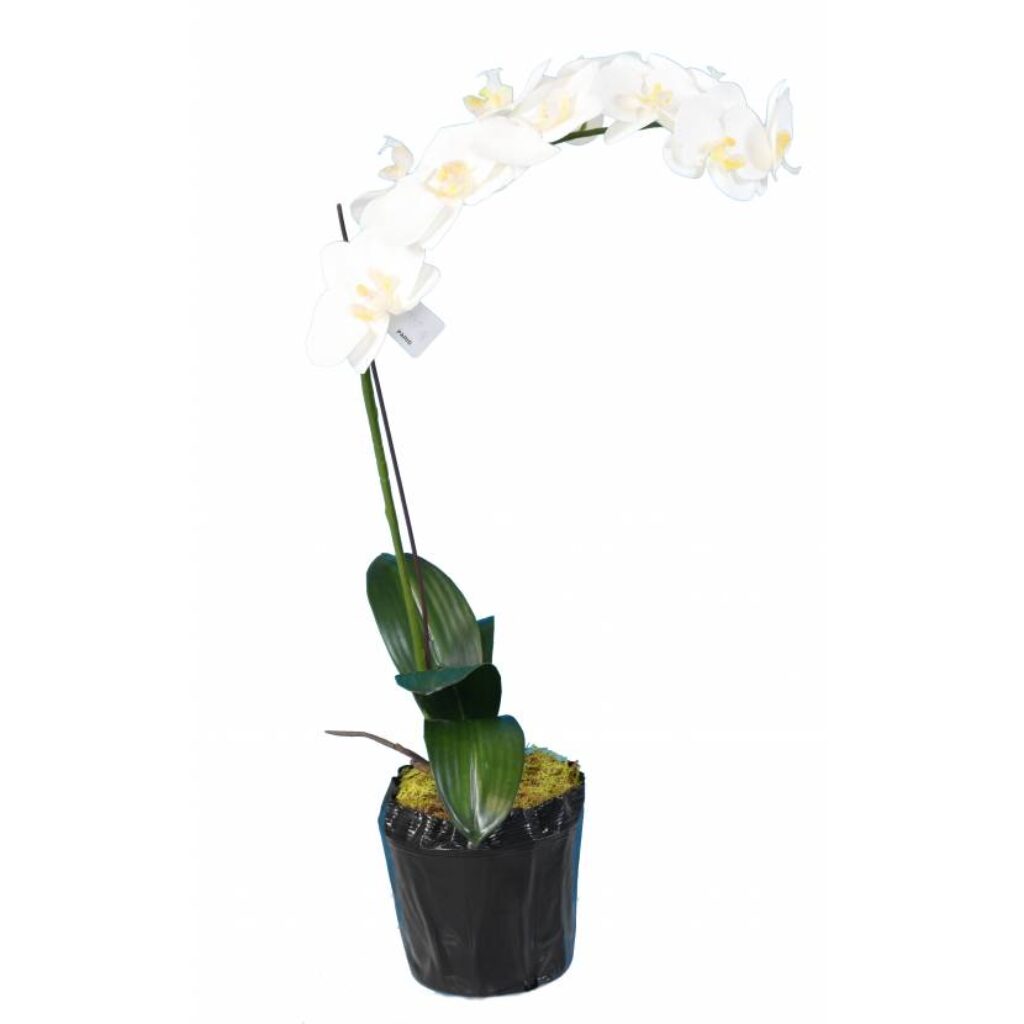 Orchidée, plante artificielle, crème, 80 cm - europalms