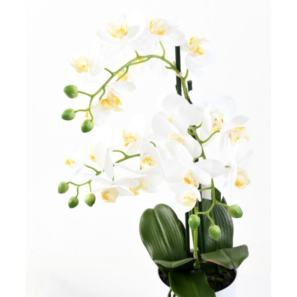 phalaenopsis orchidee artificielle 3943 58 1 1